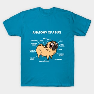 Anatomy of a Pug T-Shirt